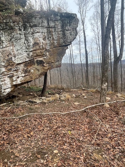 82.18ac Board Valley Rd, Monterey, TN 38574
