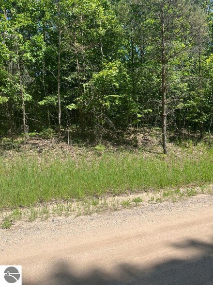 Parcel E No 45 Rd, Manton, MI 49663