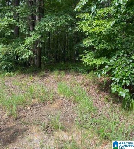 0 Willow Way Dr Unit 16 21423093, Lake View, AL 35111