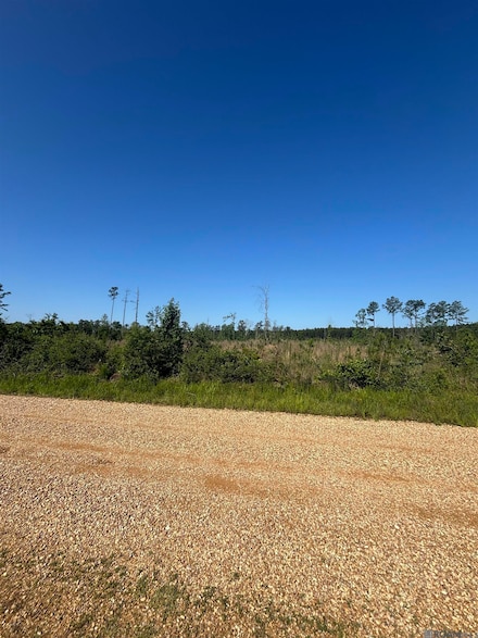 1072 Teal McDaniel Rd, Pine Grove, LA 70453