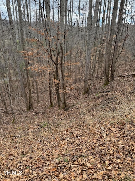 0 Golf Course Rd, Unicoi, TN 37692