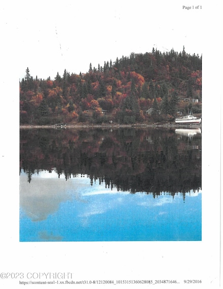 L3 Russian Creek, Pedro Bay, AK 99606
