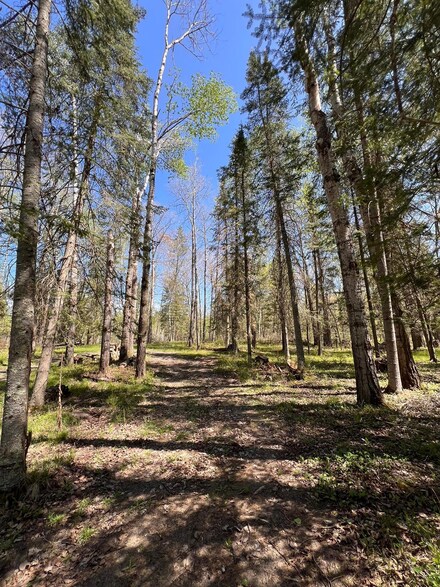 TBD Necktie Loop, Lake George, MN 56458