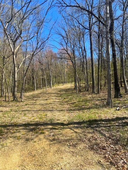Lot's 4,5 & 6 Anderson Hill Ln, Boyceville, WI 54725