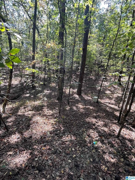 4190 Brill Dr, Bessemer, AL 35022