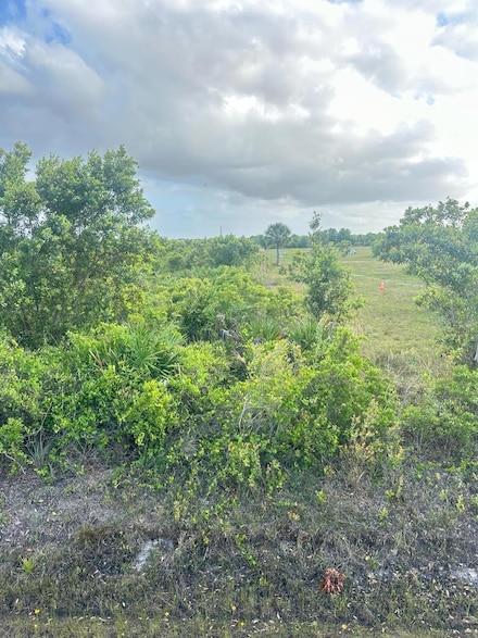 16220 NW 264th St, Okeechobee, FL 34972