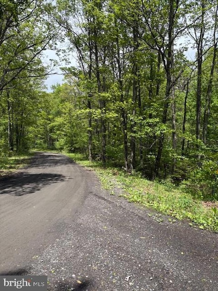 0 Little Wolf Rd, Snow Shoe Township, PA 16829