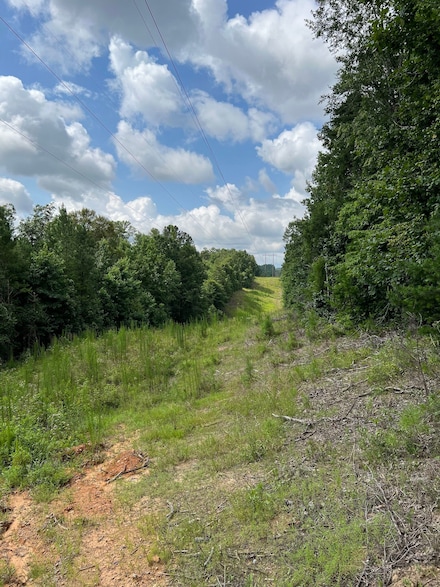 0 Mountain View Rd Unit LotWP003, Northport, AL 35475