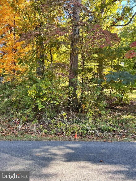 0 Route 340 & Annfield Rd Unit VACL2003152, Berryville, VA 22611