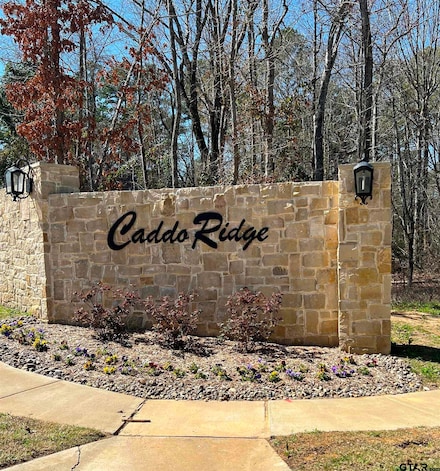 9295 Caddo Ridge Cove, Tyler, TX 75703