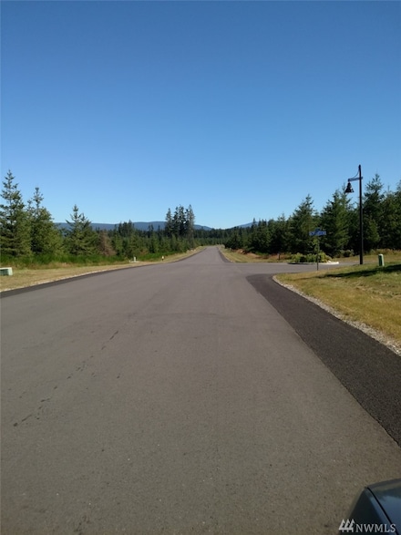 66666 SE 285th Place, Ravensdale, WA 98051
