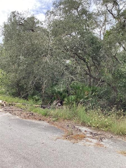 00 Fisher Trail, Ocklawaha, FL 32179