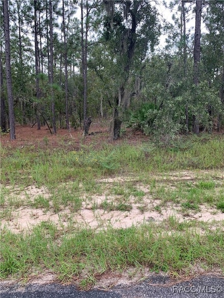 2810 W Xenox Dr, Citrus Springs, FL 34433