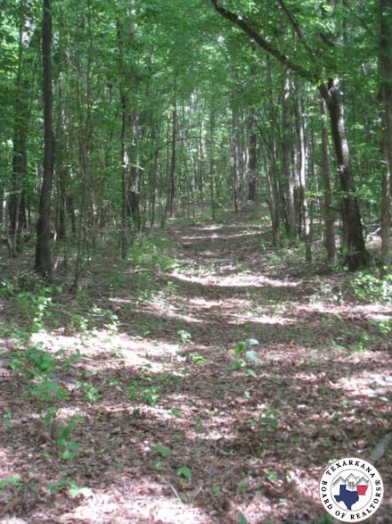 TBD Miller County 22, Texarkana, AR 71854