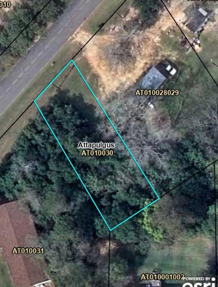 Lot 33 McGriff St, Attapulgus, GA 39815