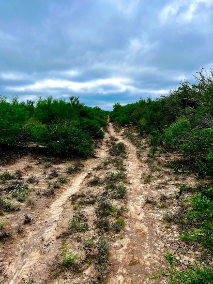 0 J D White Rd, Freer, TX 78384