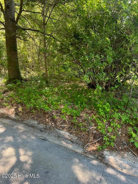 0 Williams St, Princeville, NC 27886
