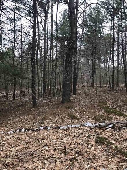 00 Bible Hill Rd, Francestown, NH 03043