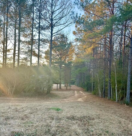 314 Alex Daley Rd, Carson, MS 39427
