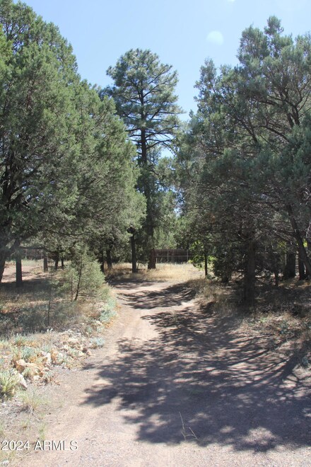 4081 W Cooley St Unit 133, Show Low, AZ 85901