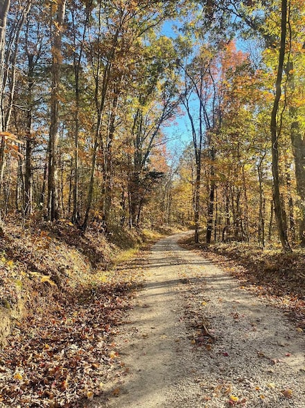 0 Mountain Springs Rd, West Irvine, KY 40336