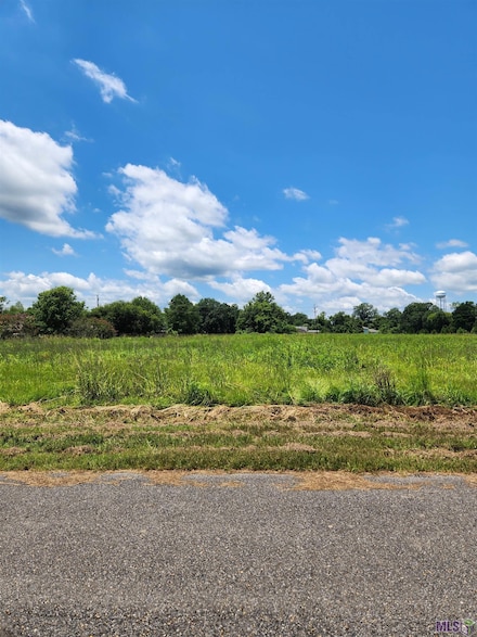1-B-3-C-1 Deer Buck Run, Rosedale, LA 70772
