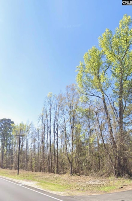 0 Broxton Bridge Rd, Bamberg, SC 29003