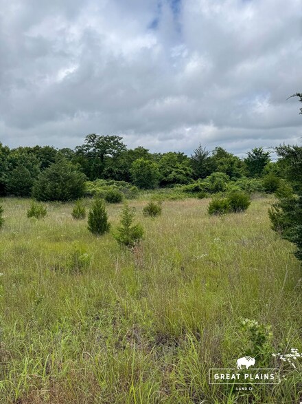 Tbd Blarney Ave, Bristow, OK 74010