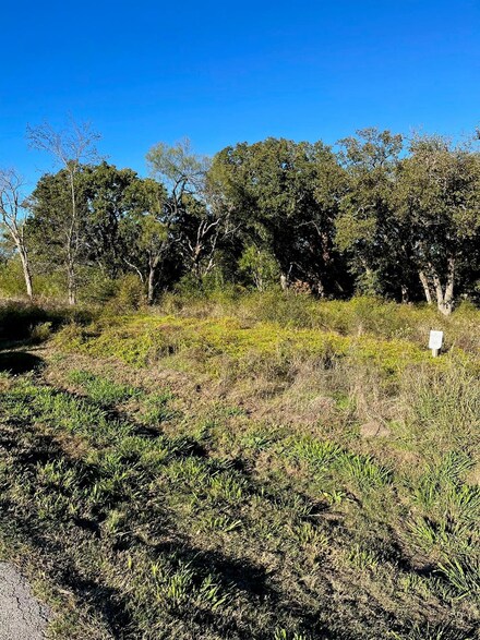 9525 E Shoreline Ct, Kemp, TX 75143
