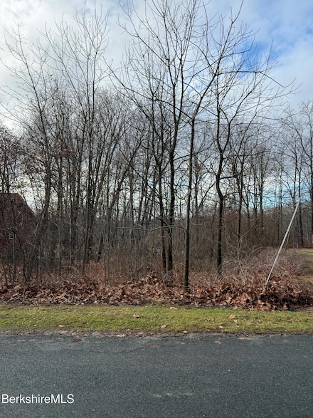 I11001904 Scammell Ave, Pittsfield, MA 01201