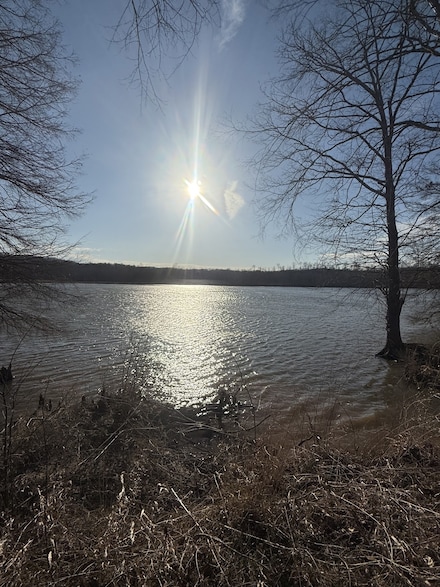 415 Hardin Bottom Rd, Clifton, TN 38425