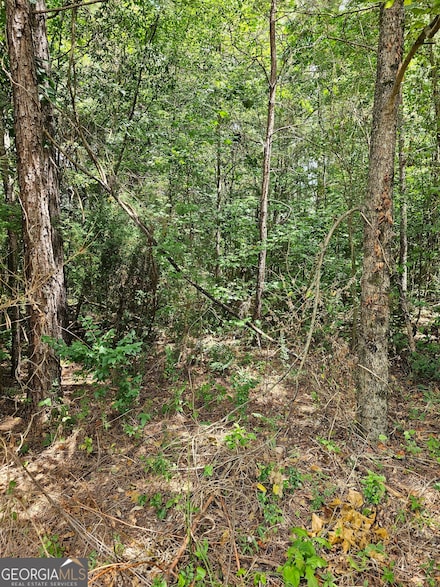 327 Jeffers Rd, Buchanan, GA 30113