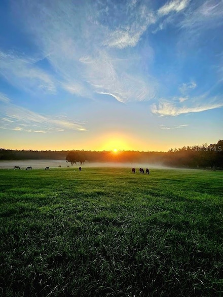 TBD N Highway 329 Hwy, Reddick, FL 32686