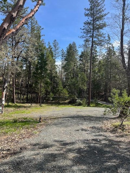255 Pine Tree Dr, Williams, OR 97544