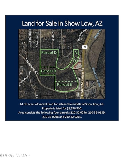 0 4 Lots Unit 253931, Show Low, AZ 85901