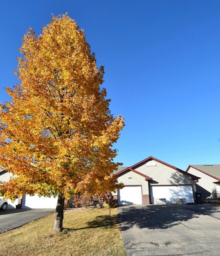 718 10th St SW, Pine Island, MN 55963