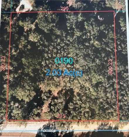 0000 NE 440th Ave, Old Town, FL 32680