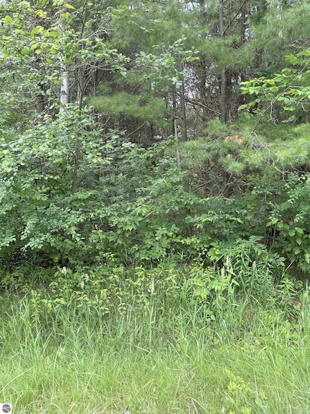 V/L Radov Rd, Hay Township, MI 48624