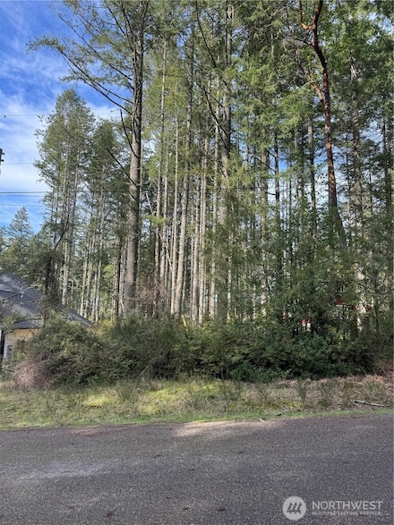 12021 Sunset Place, Anderson Island, WA 98303