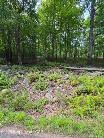 11H Tower Rd, Sugarloaf, PA 18249