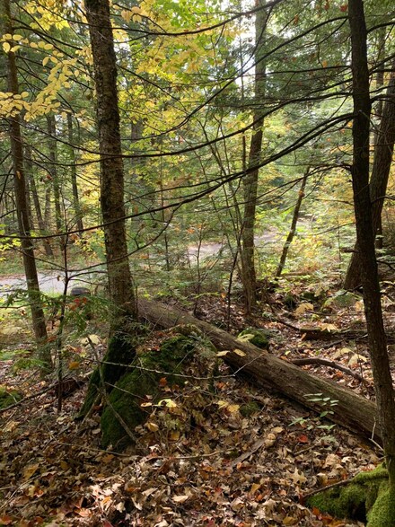 8 D St, Bridgton, ME 04009