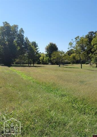 1 9th St, Cotter, AR 72626
