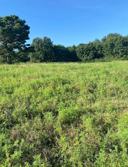 Tract 2 E1250 Road, Whitefield, OK 74462
