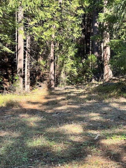 17630 Antelope Dr E, Pioneer, CA 95666