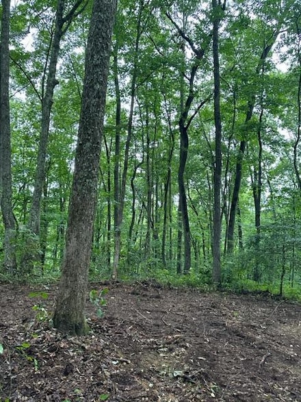 Lot 340 Deep Branch Ln, Wilder, TN 38589