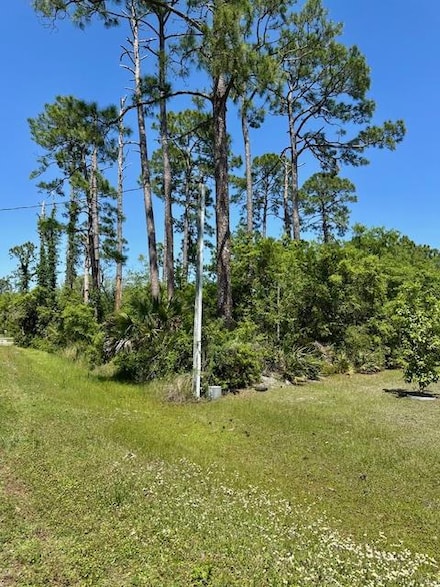 Lot 7 Sr 30-A, Port St. Joe, FL 32456