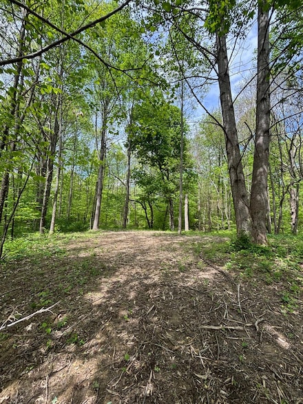 0 N Delaware Rd, Milan, IN 47031