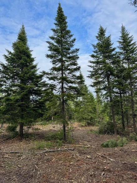 M19 L57 Lavertu Rd, Madawaska, ME 04756