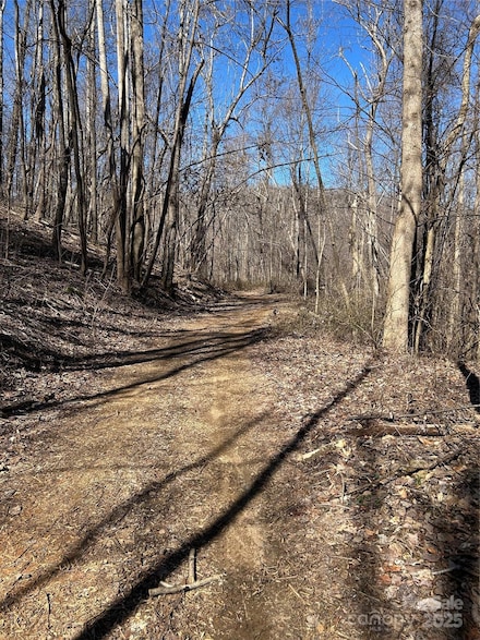TBD Country Club Rd, Tryon, NC 28782