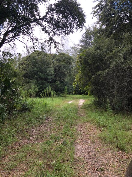 146 Tanner Rd, Florahome, FL 32140
